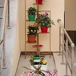 Homestay szállás Casa Octaral