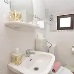 Homestay szállás Casa Octaral