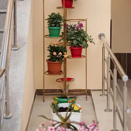 Kwatera prywatna Casa Octaral
