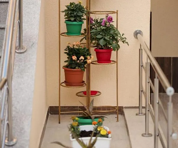 Accommodatie bij particulieren Casa Octaral