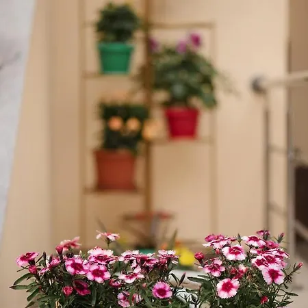 Casa Octaral *