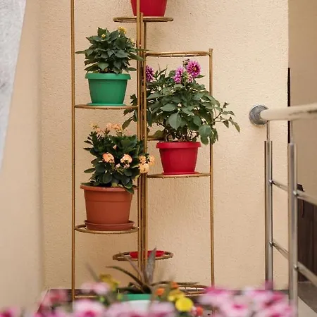 Casa Octaral Eforie Nord