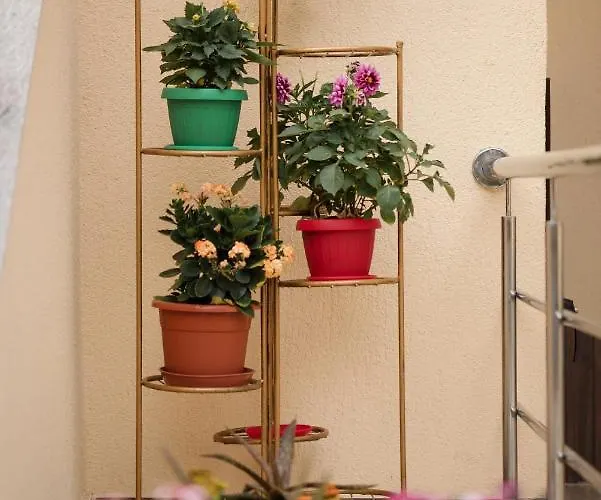 Casa Octaral エフォリエ・ノルド